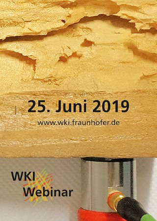 Titelbild zum 51. WKI-Webinar