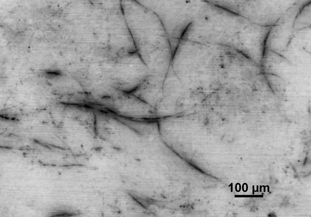 Mikroskopbild zeigt hellgraue Fläche, die von vielen dunkelgrauen, unregelmäßigen Linien und punktähnlichen Fragmenten durchzogen ist.