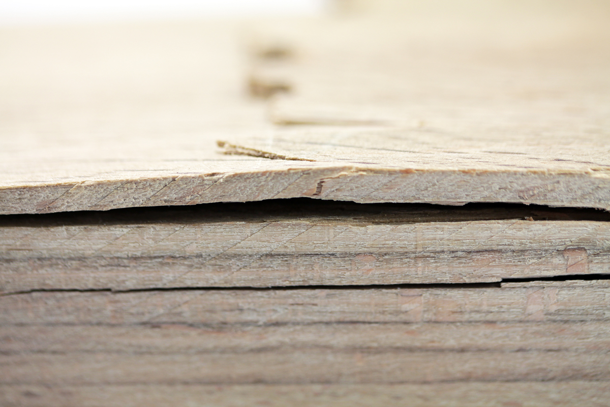 Das Foto zeigt die Schnittkante einer Holzplatte, die aus mehreren Lagen Buchenholz besteht, die miteinander verklebt sind. Die Verklebung hat begonnen sich zu lösen, sodass die Holzschichten sich voneinander trennen. Die oberste Schicht ist aufgewölbt und hat Bruchstellen.  