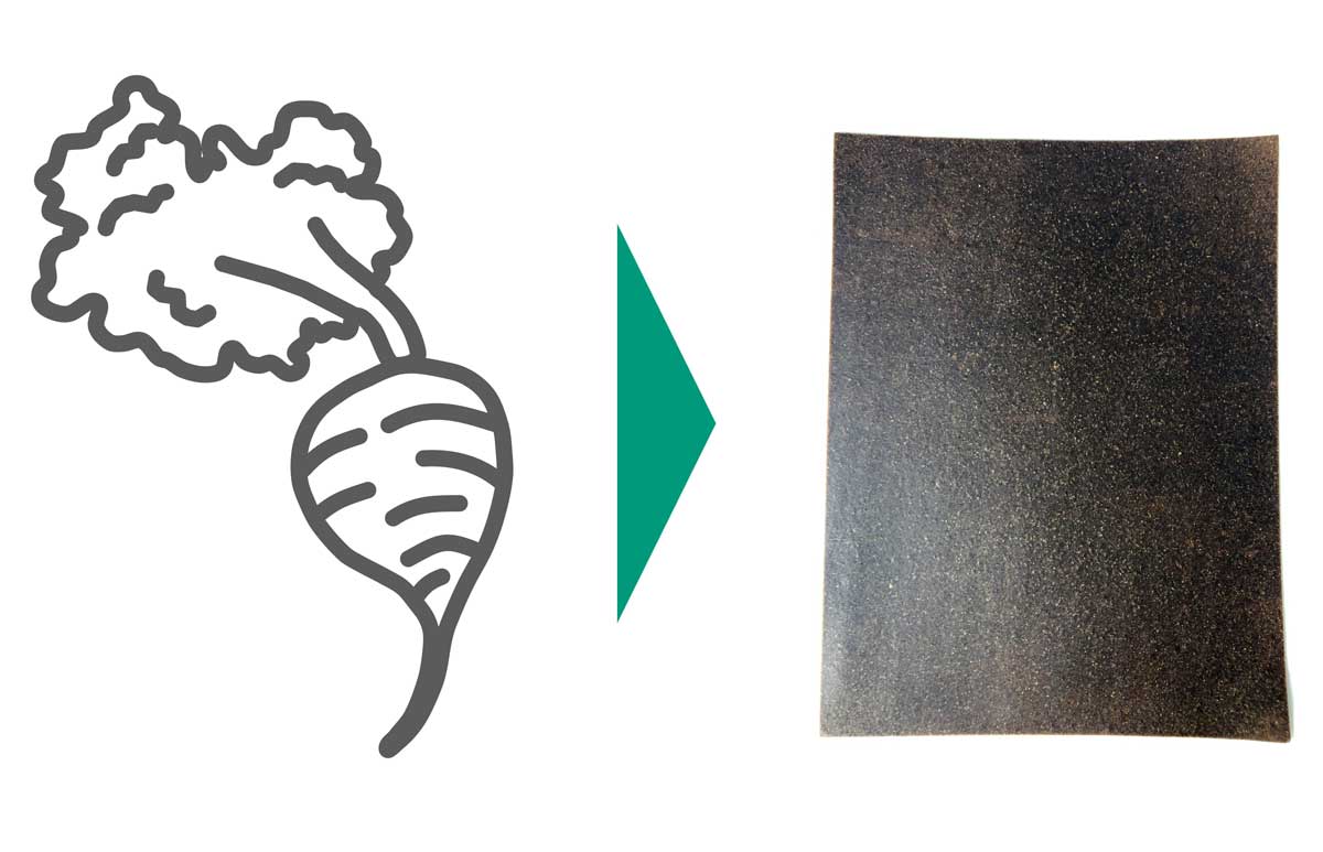 Das Bild zeigt links eine gezeichnete Zuckerrübe und rechts ein fotografiertes Stück Folie aus einem dunkelbraunen Material. In der Bildmitte ist ein gezeichneter Pfeil, der von der Rübe zur Folie weist.