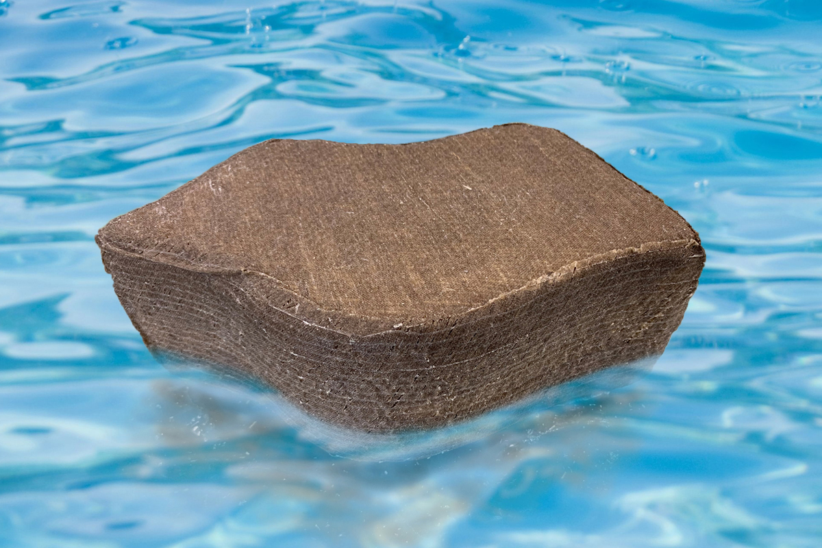 The photo shows a roughly semi-circular body floating in water. The surface has a brownish woven structure.