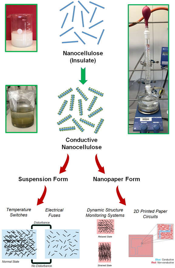 Nanocellulose graphic