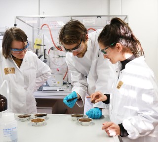 Project staff in white coats examine samples of lignin in a laboratory. 