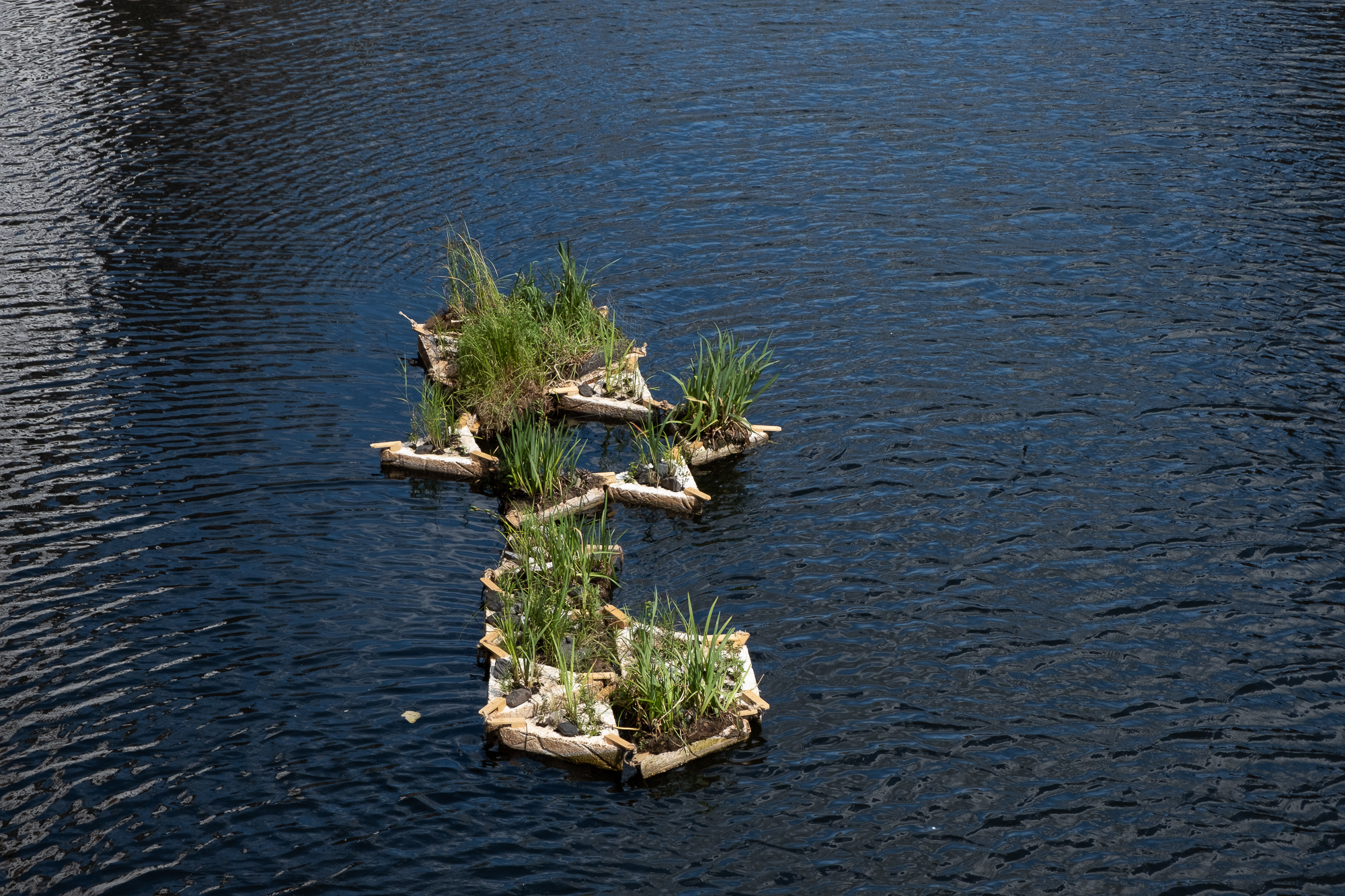 The photo shows a compilation of 19 triangular floating islands upon which plants are growing. 
