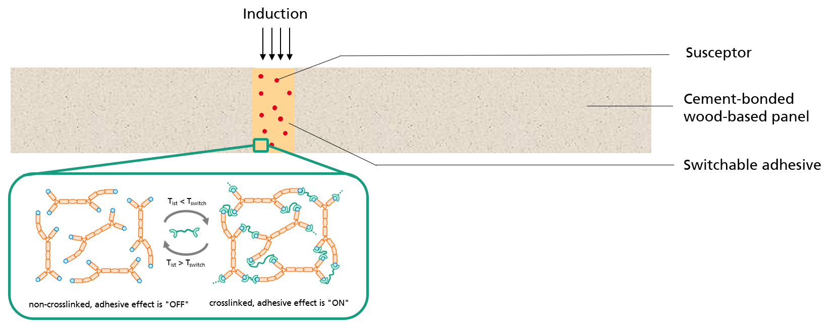 The computer graphic shows the functional principle of switchable adhesives.