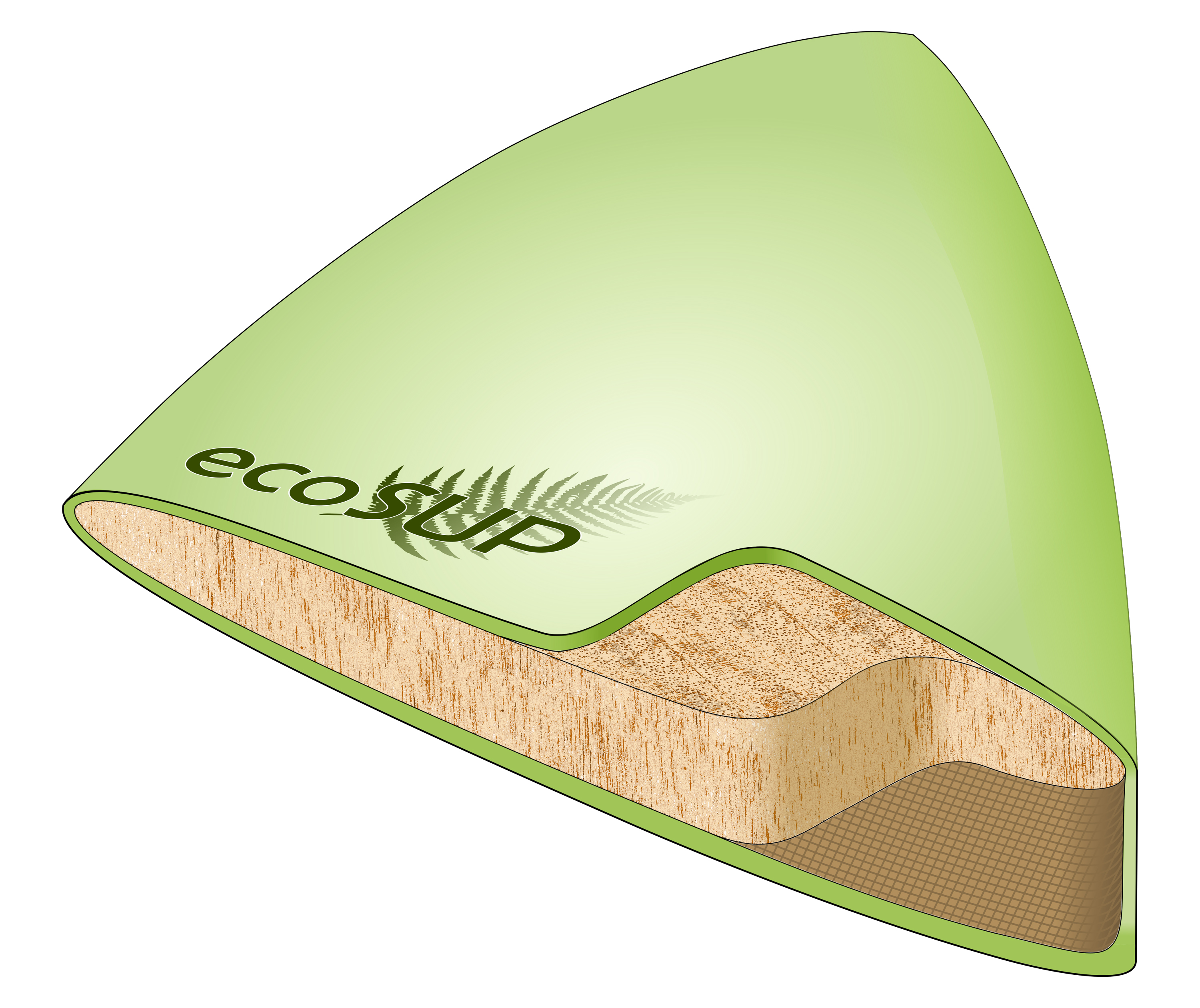 The 3D computer graphic shows the cut-open hull of a stand-up paddleboard.
