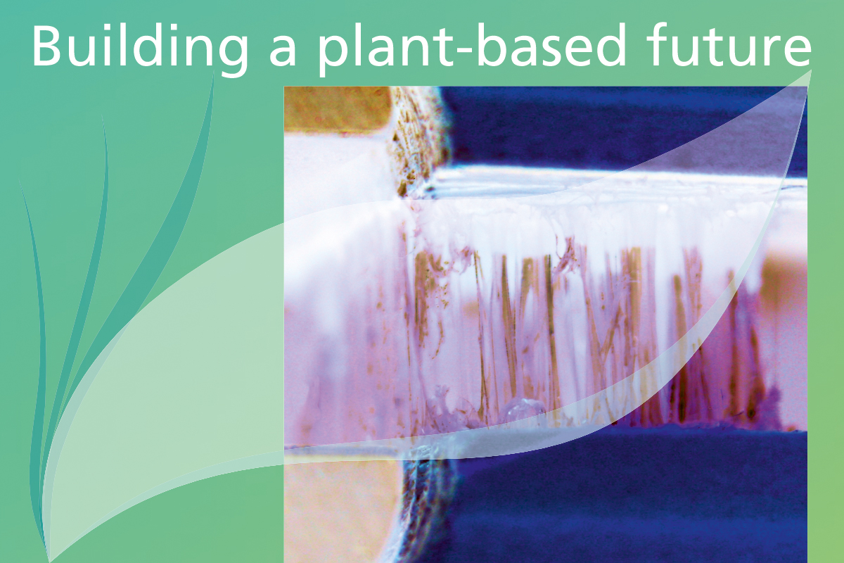 BUILDING A PLANT-BASED FUTURE: Strengthening the circular economy through bio-based adhesives The photo shows two glued wooden blocks in the tensile testing machine.