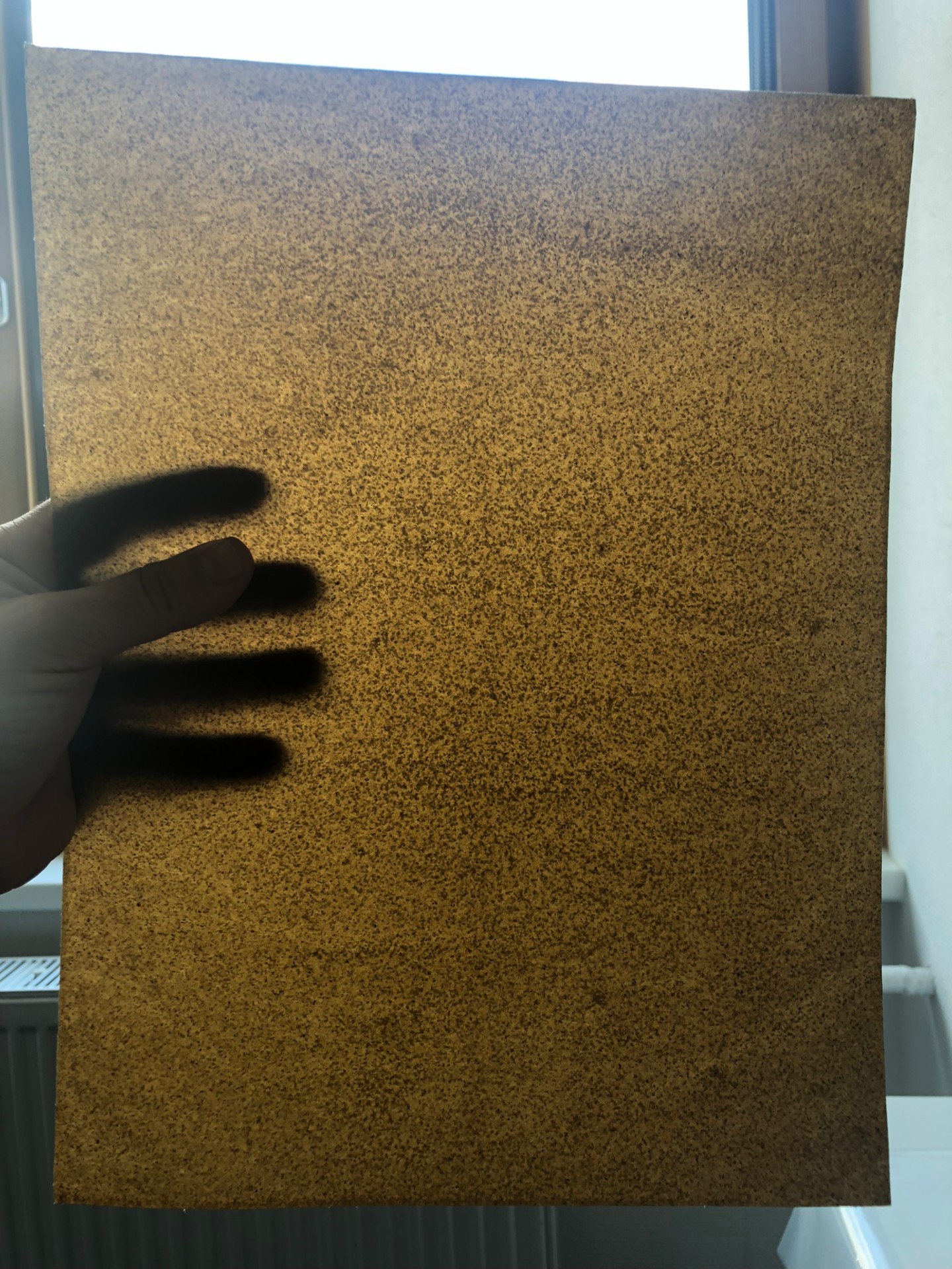 Compostable film made from unmodified polymers The photo shows a piece of foil measuring approximately 40 x 30 cm. It is medium brown with dark brown speckles and slightly translucent when held up to the light.