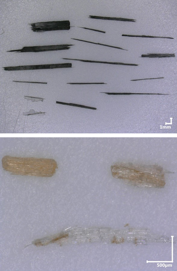 The left microscope image shows 16 black, elongated, thin pieces with a spear-like shape and an approximate length of 3 mm to 12 mm. The right microscope image shows three light-brown pieces with fibrous structure and an approximate length of 1 mm. 