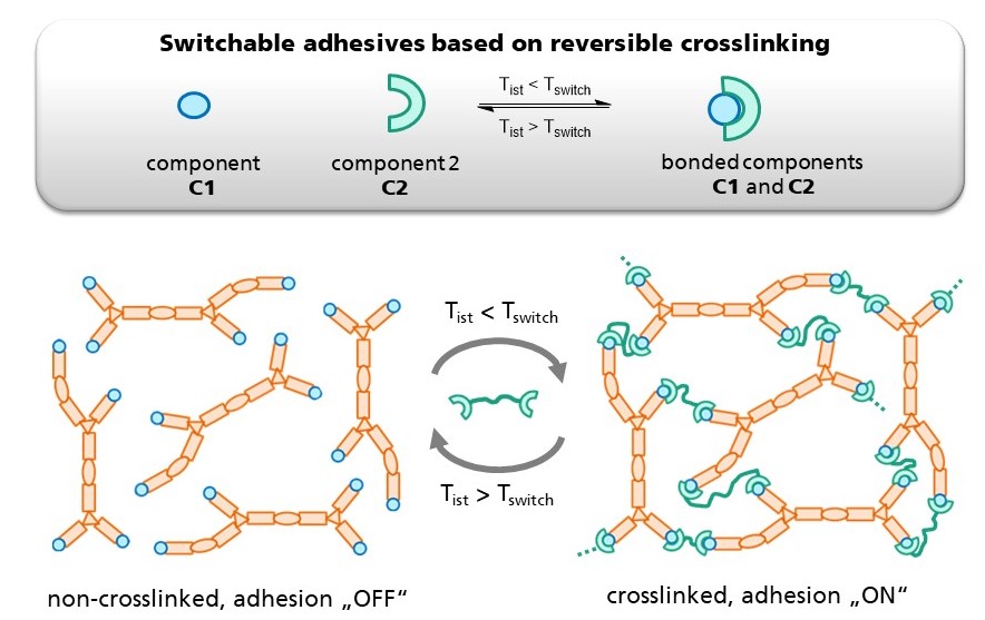 Graphic representation of the functional principle of the adhesive switching.