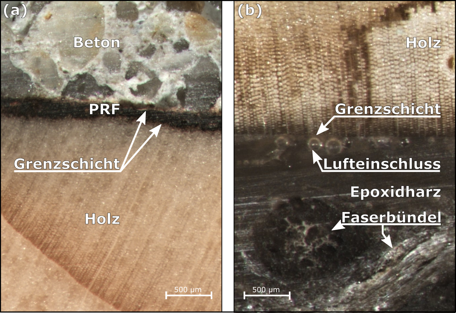 Two microscope images each show two areas with different color and structure.