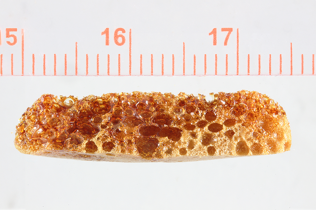Foam made from lignin sulfonate The photo shows an approximately 2.5 cm wide, caramel-brown piece of foam with clearly visible pores.